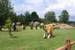 Jurajski Park Dinozaurów „Muzeum Dziejów Ziemi”