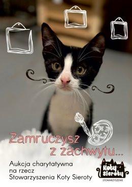 Katowice Wydarzenie Inne wydarzenie [wydarzenie gościnne] WSTĘP WOLNY